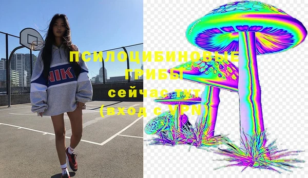 мяу мяу мука Новокубанск