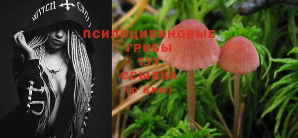 MESCALINE Абинск